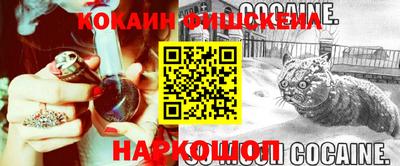 амф Жуковский