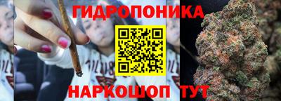 a pvp Заводоуковск