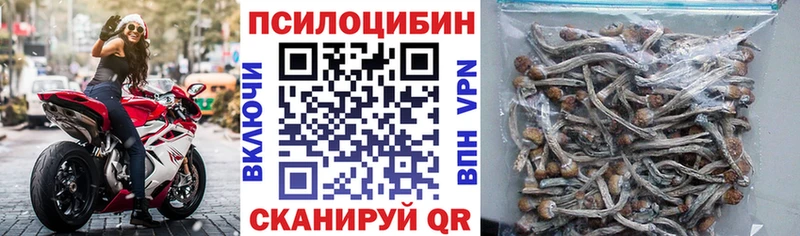 хочу   Славянск-на-Кубани  Псилоцибиновые грибы Cubensis 